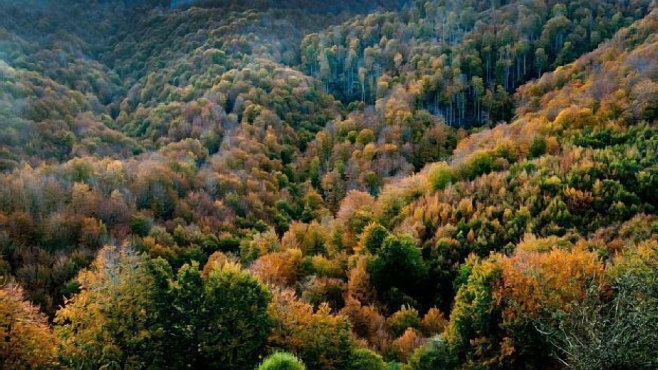 Photo of Outdoor in Zilbeti