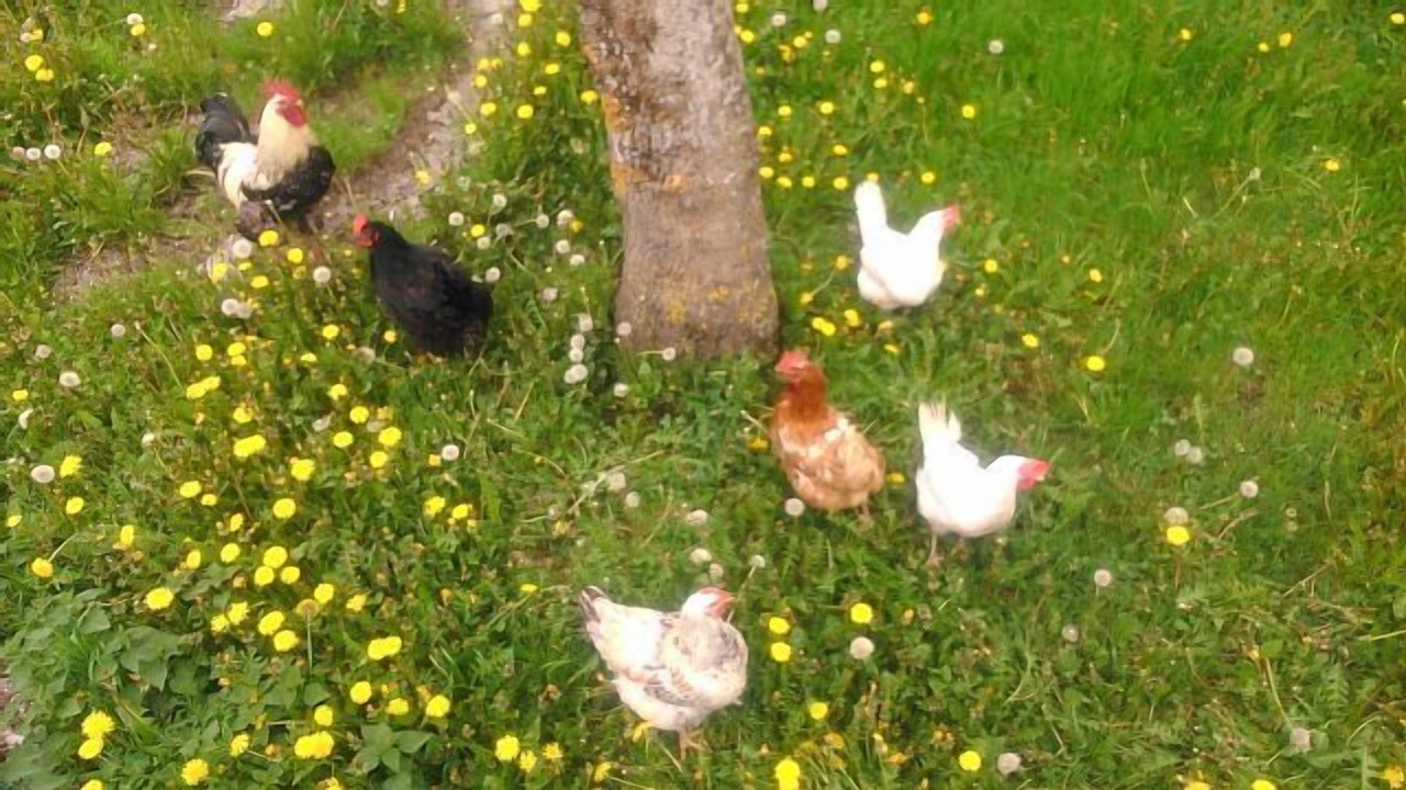 Photo of Outdoor in Zilbeti