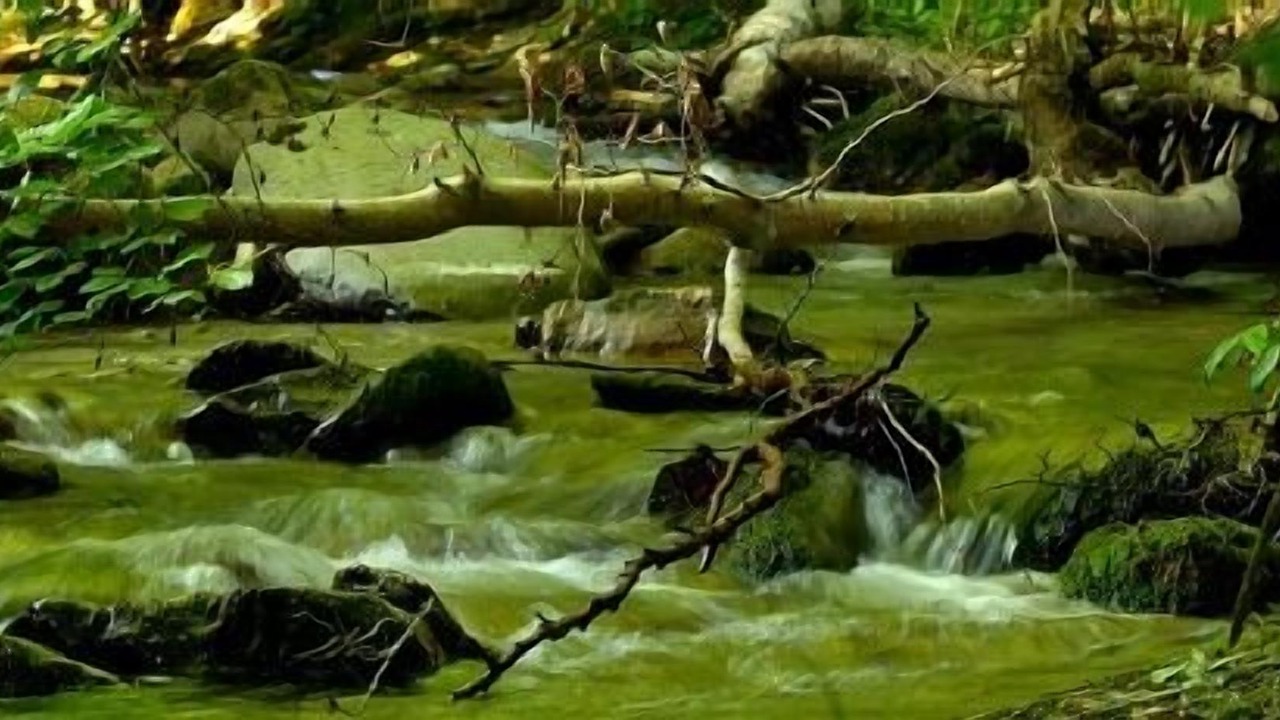 Photo of Outdoor in Zilbeti