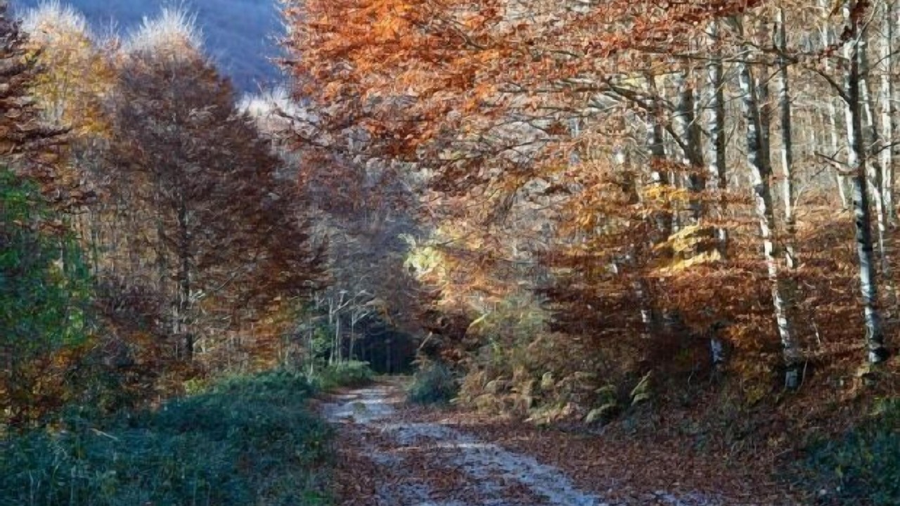 Photo of Outdoor in Zilbeti