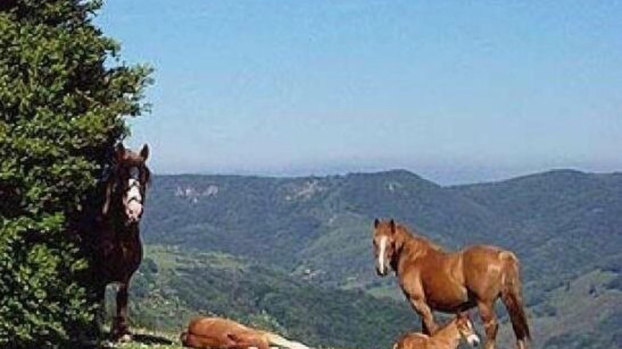 Photo of Others in Zilbeti