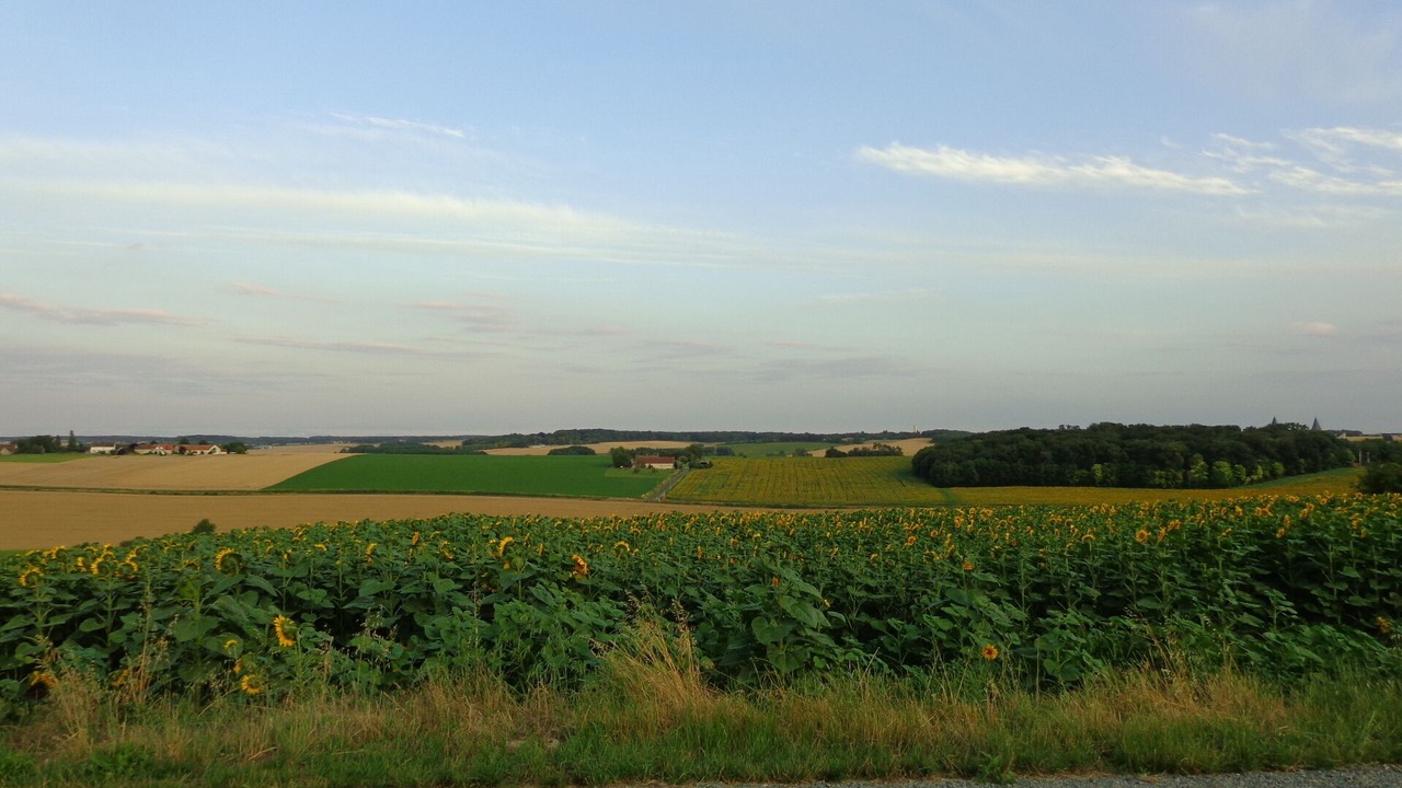 Photo of Outdoor in Bournan
