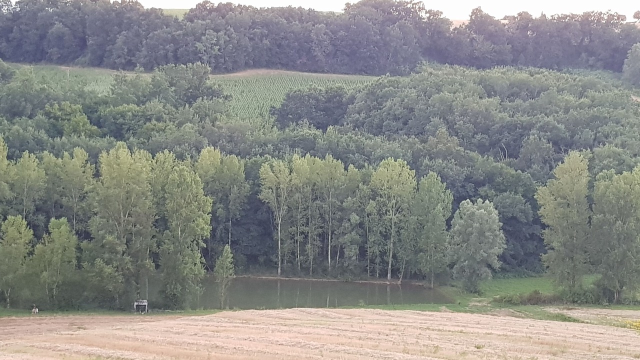 Photo of Others in Castelsagrat