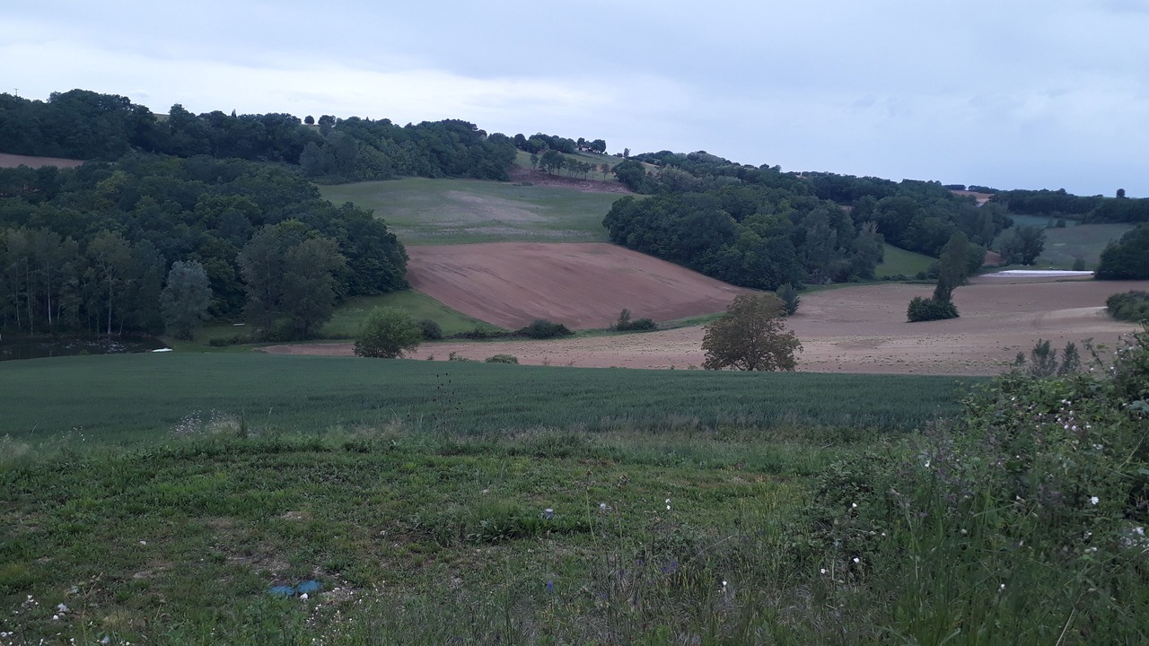 Photo of Others in Castelsagrat
