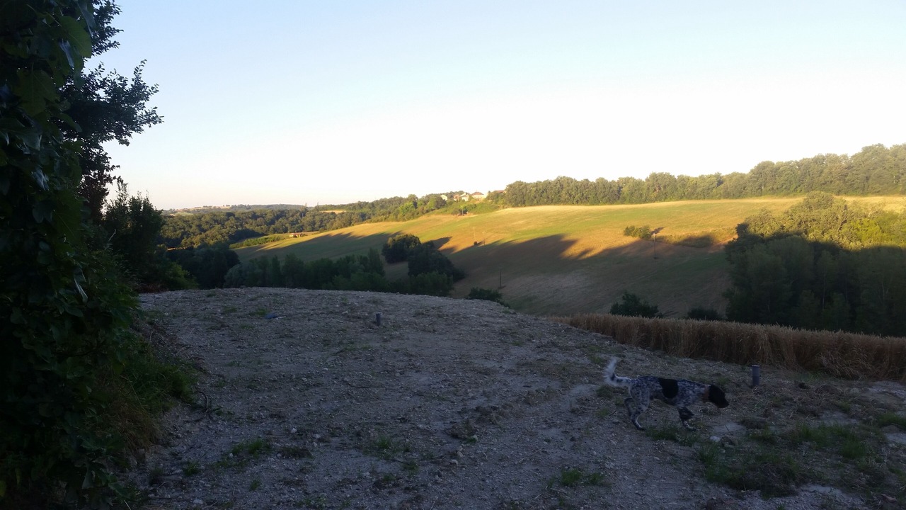Photo of Outdoor in Castelsagrat