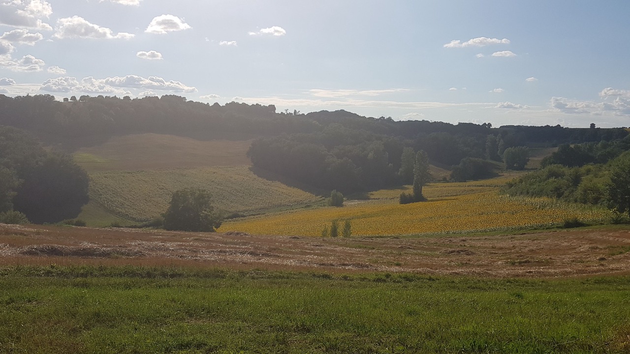 Photo of Outdoor in Castelsagrat