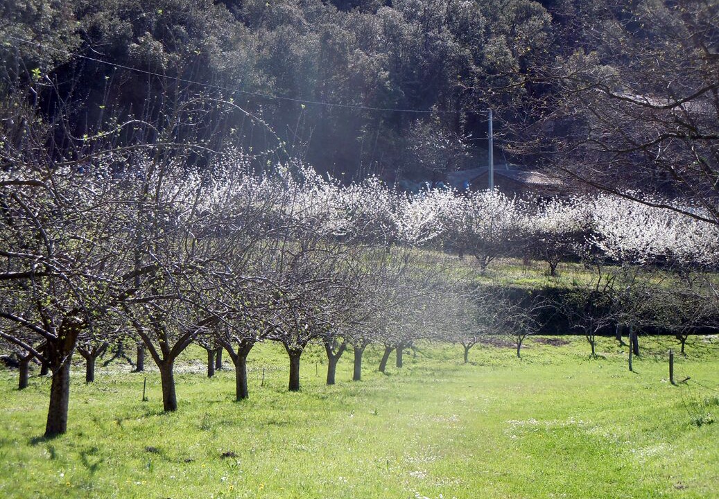 Photo of Outdoor in Pont d'Herault