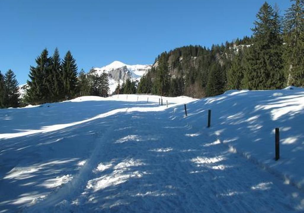 Photo of Others in Wildhaus-Alt St. Johann