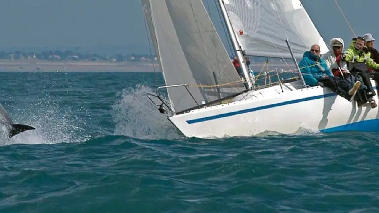 Photo of Others in Surtainville