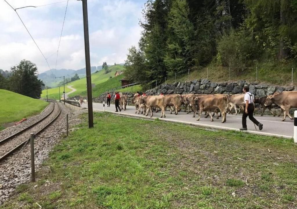 Photo of Others in Hundwil
