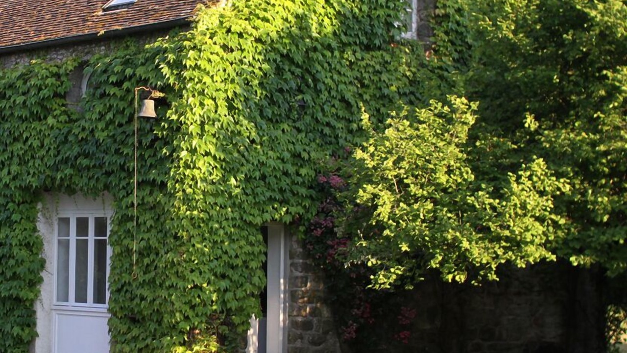 Photo of Outdoor in Saint-Pierre-les-Nemours
