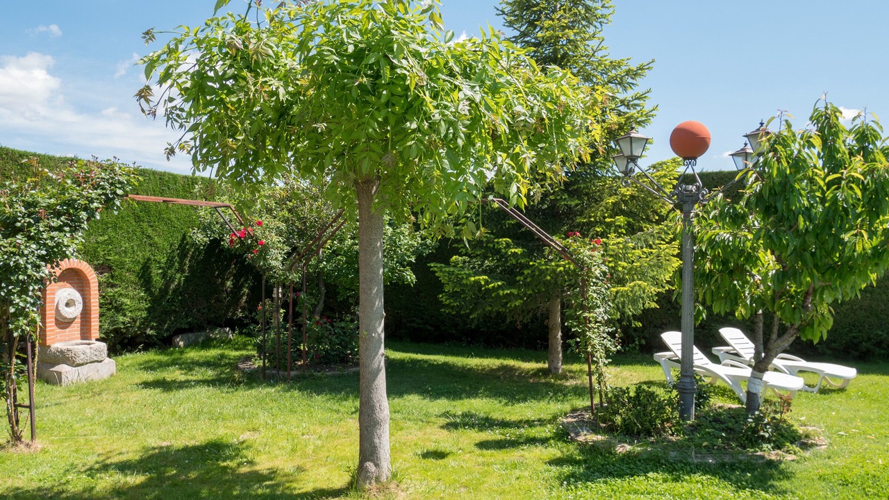 Photo of Outdoor in Robledillo