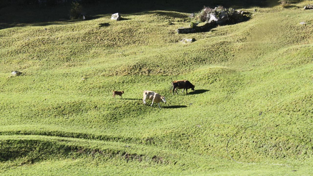Photo of Others in Poschiavo