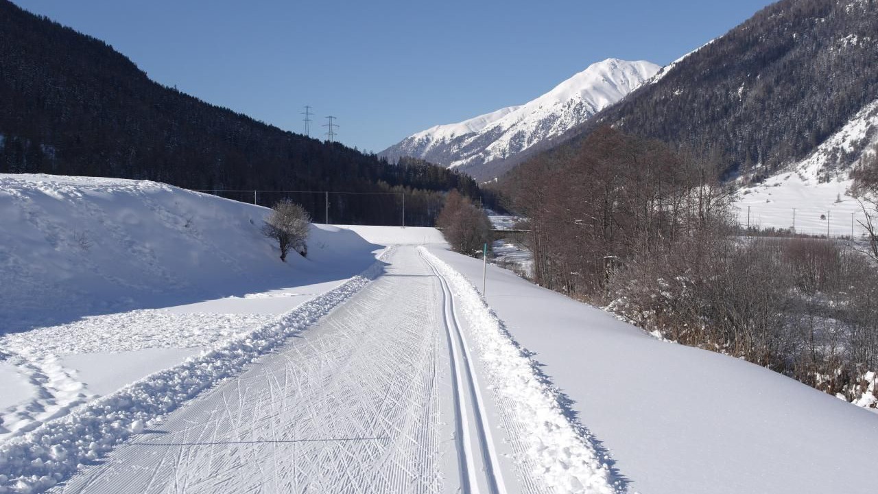 Photo of Others in Zernez