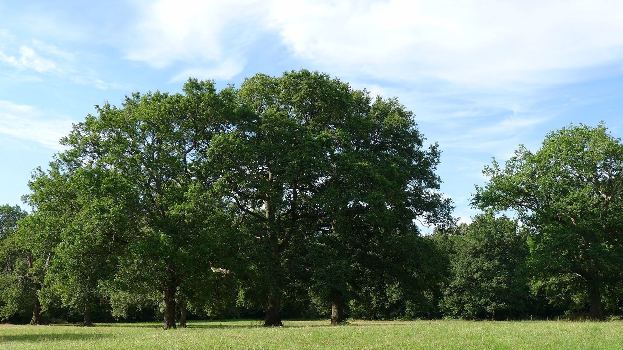 Photo of Outdoor in Le Tablier