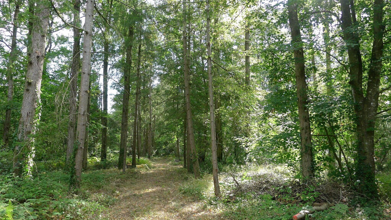 Photo of Outdoor in Le Tablier