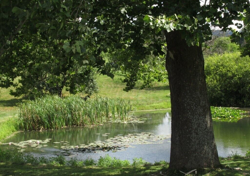 Photo of Outdoor in Russell