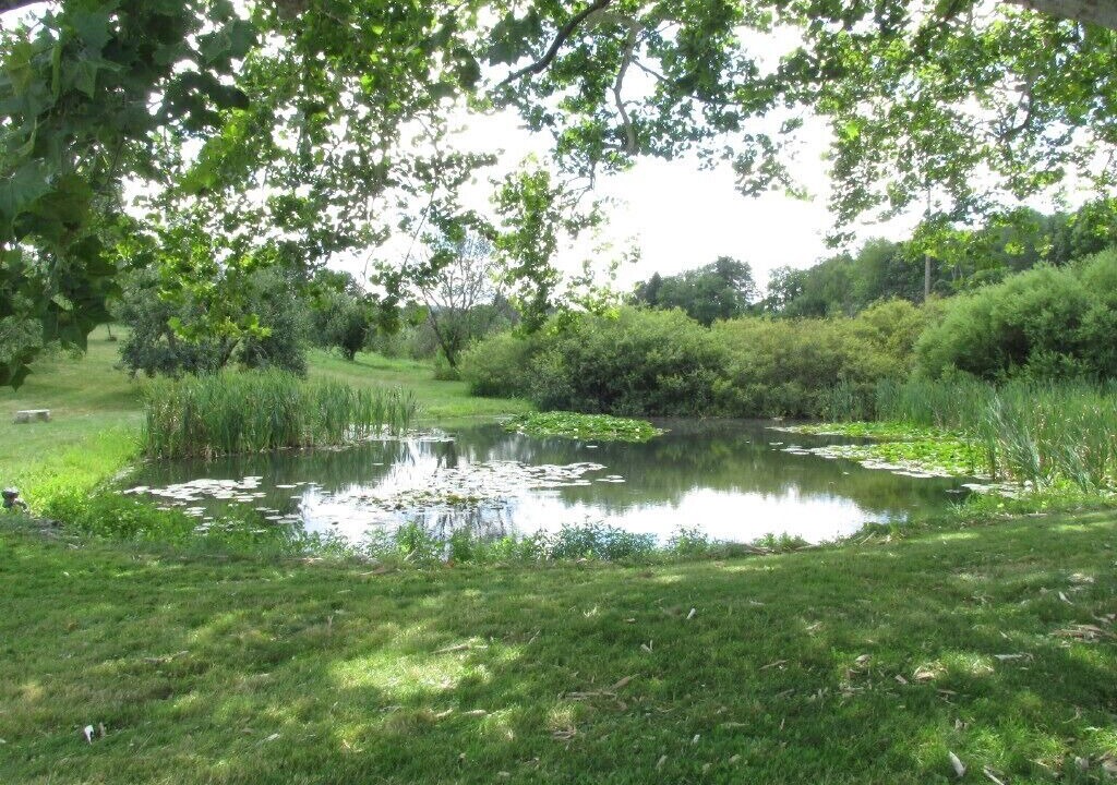 Photo of Outdoor in Russell