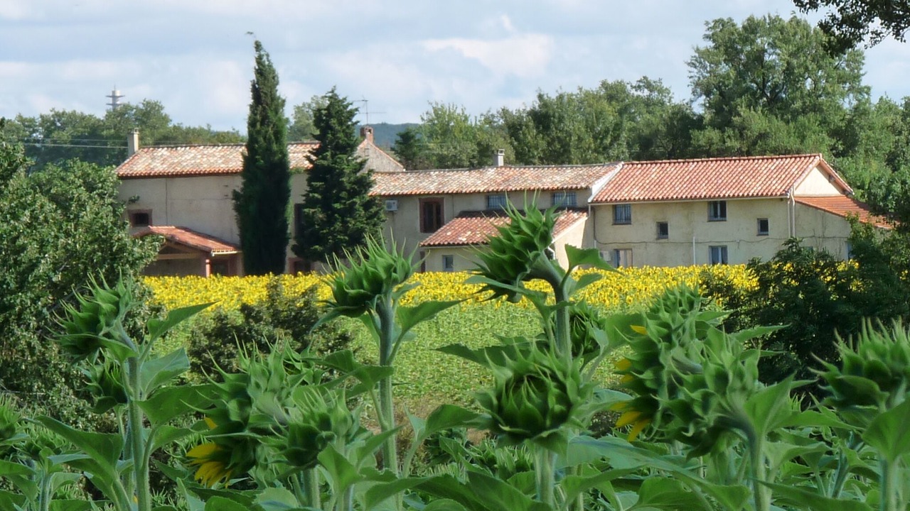 Photo of Others in Labastide-d'Anjou