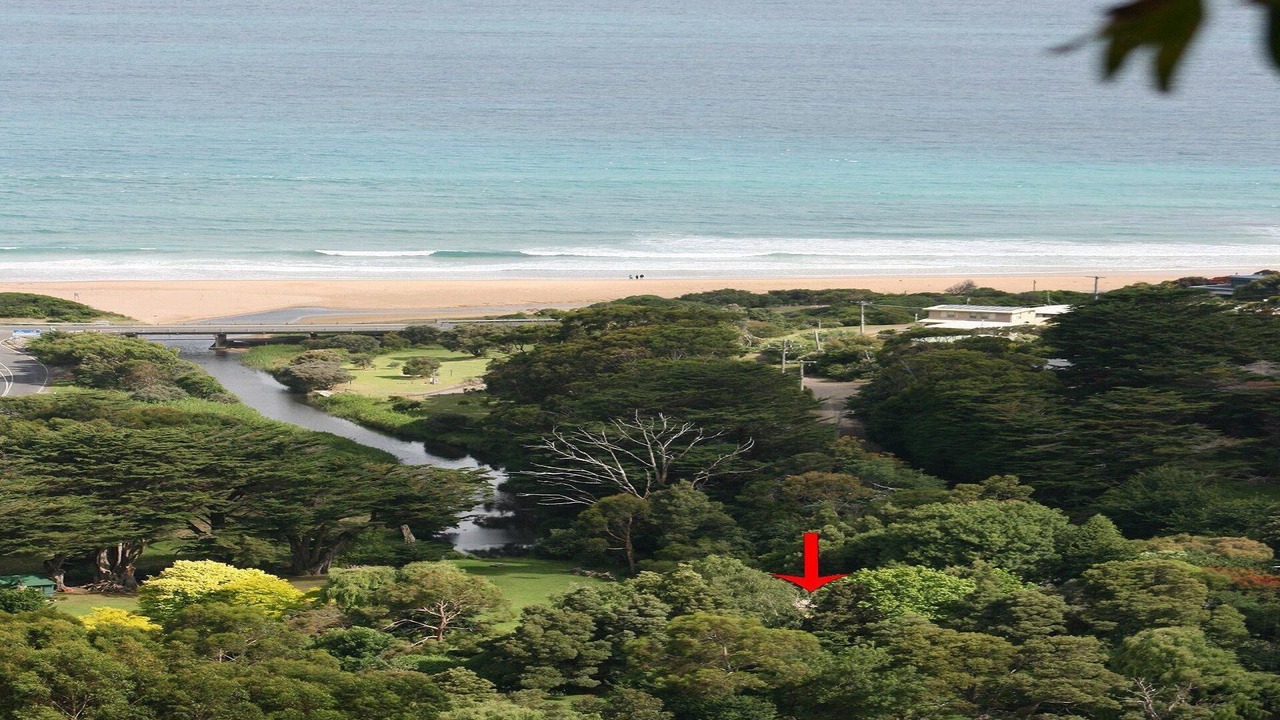 Photo of Others in Skenes Creek