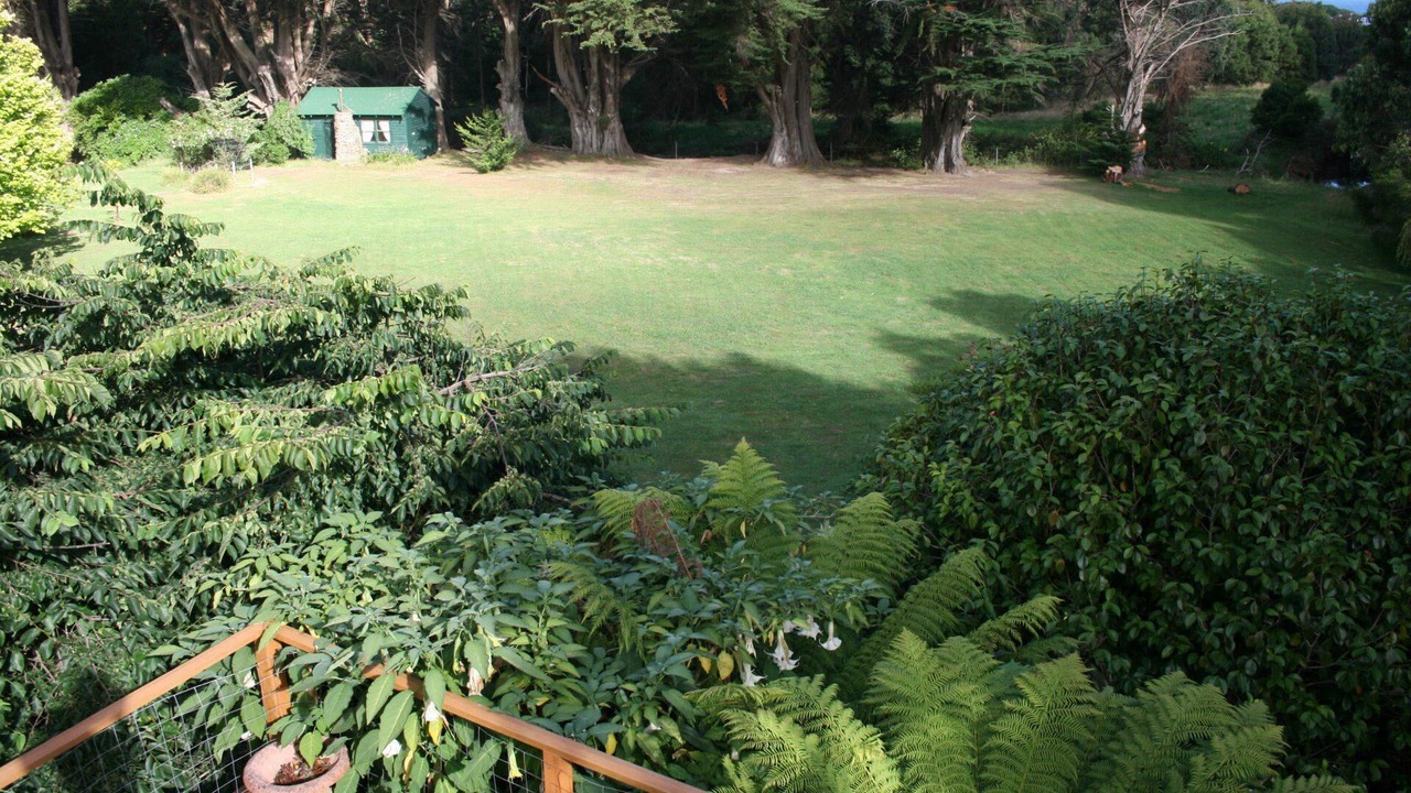 Photo of Outdoor in Skenes Creek