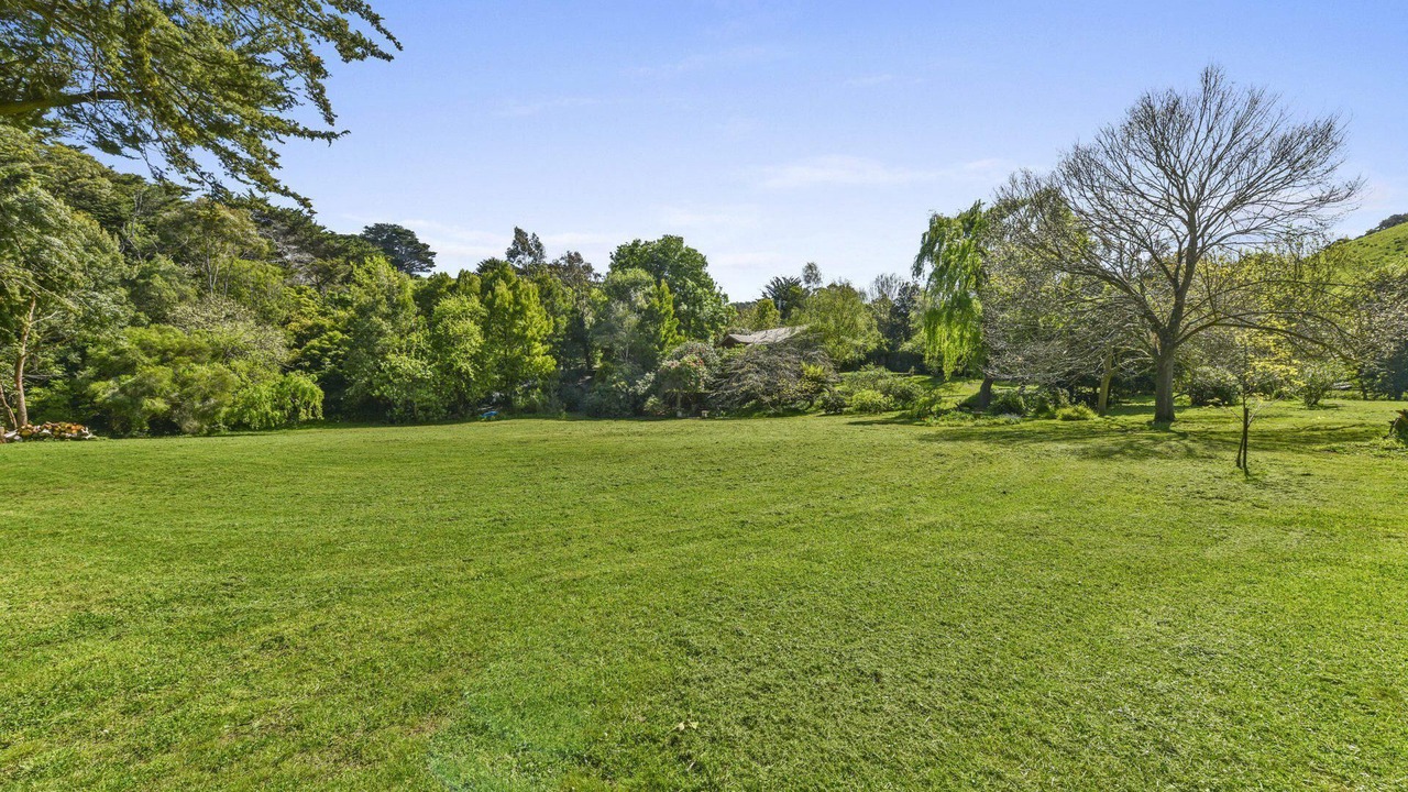 Photo of Others in Skenes Creek