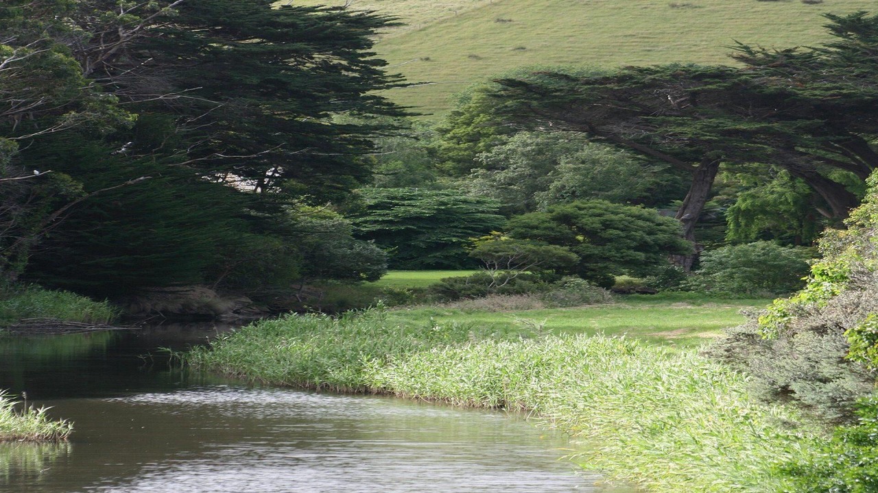 Photo of Outdoor in Skenes Creek