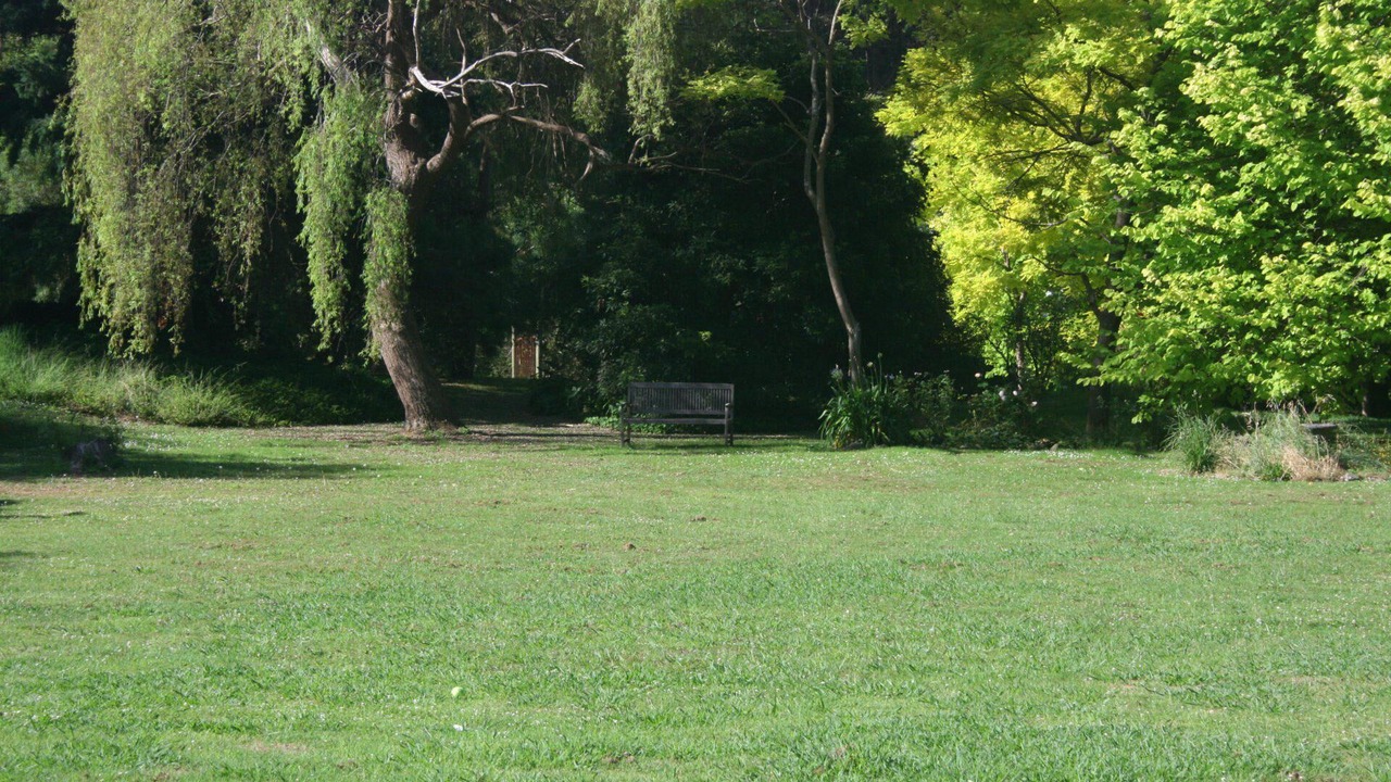 Photo of Outdoor in Skenes Creek