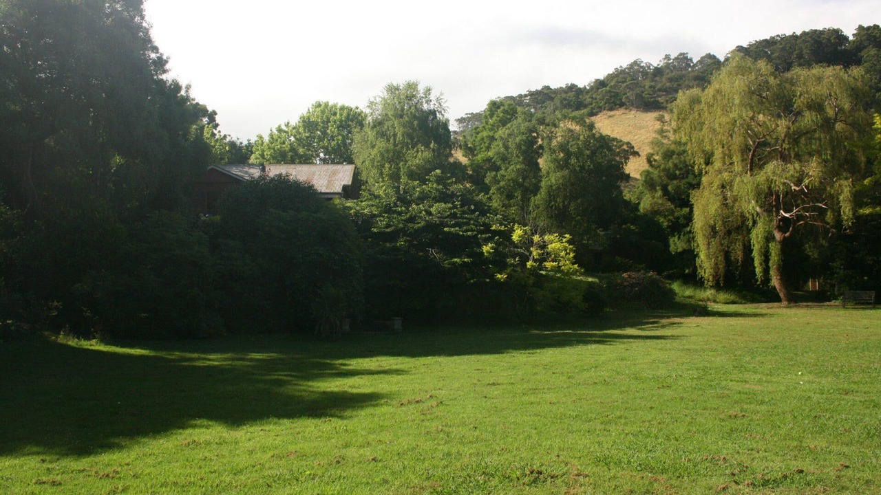 Photo of Outdoor in Skenes Creek