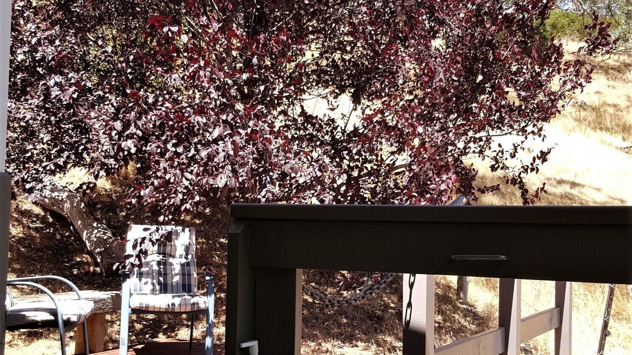 Photo of Outdoor in Macclesfield