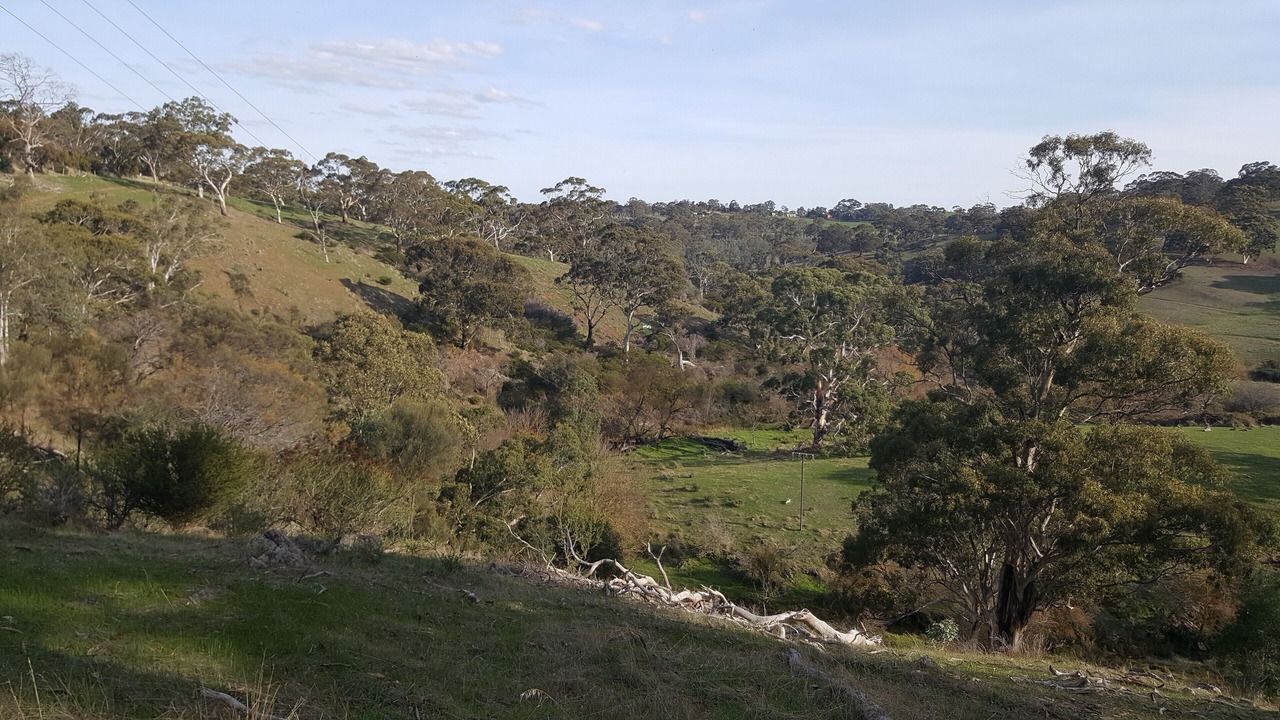 Photo of Others in Macclesfield