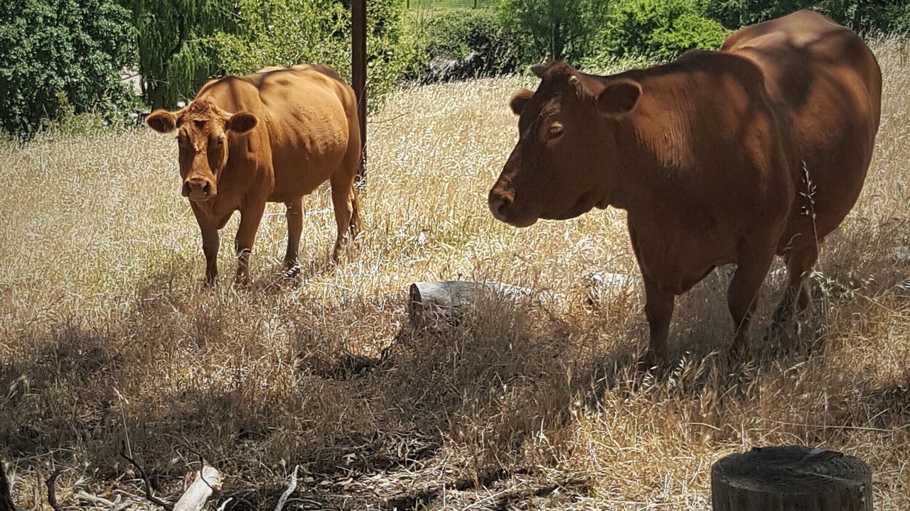 Photo of Others in Macclesfield