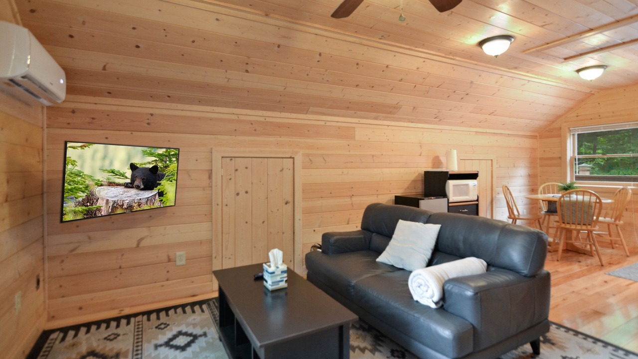 Photo of Livingroom in Blue Ridge