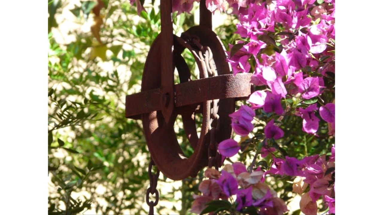 Photo of Outdoor in Banyeres del Penedes