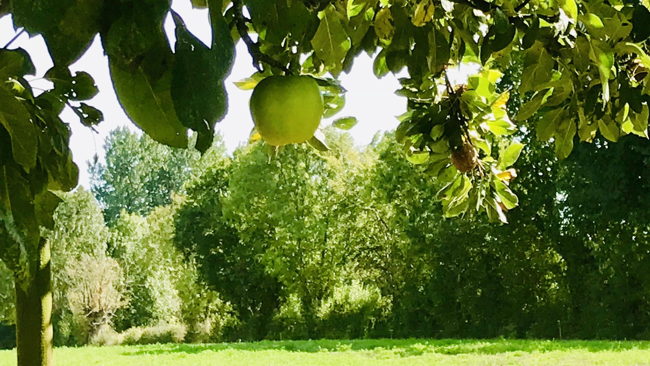 Photo of Outdoor in La Chapelle-Saint-Etienne
