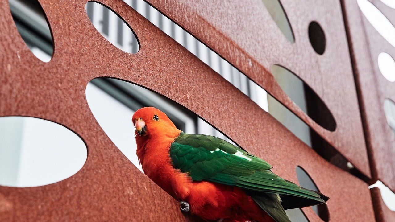 Photo of Outdoor in Lorne