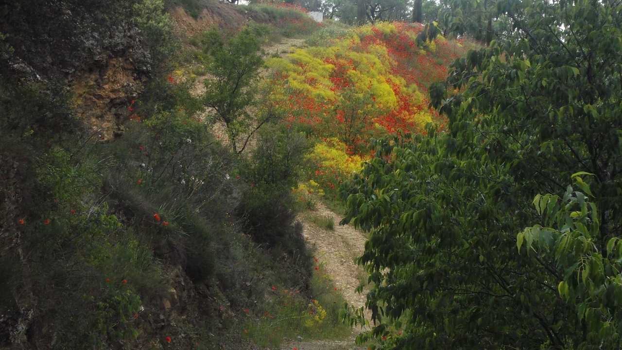 Photo of Outdoor in Carenas