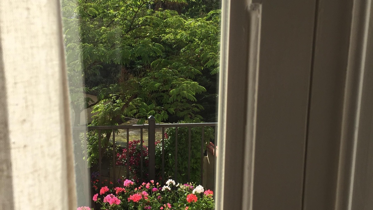 Photo of Others in Quillan