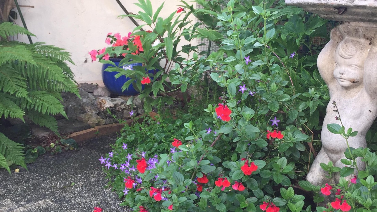Photo of Outdoor in Quillan