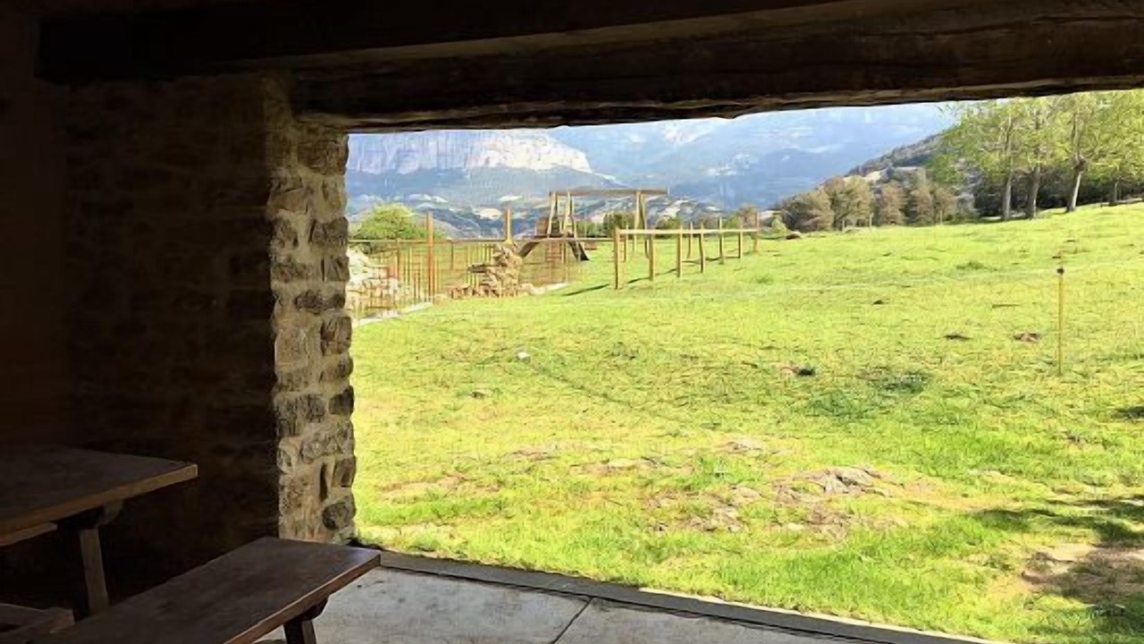 Photo of Patio Balcony in Lladurs