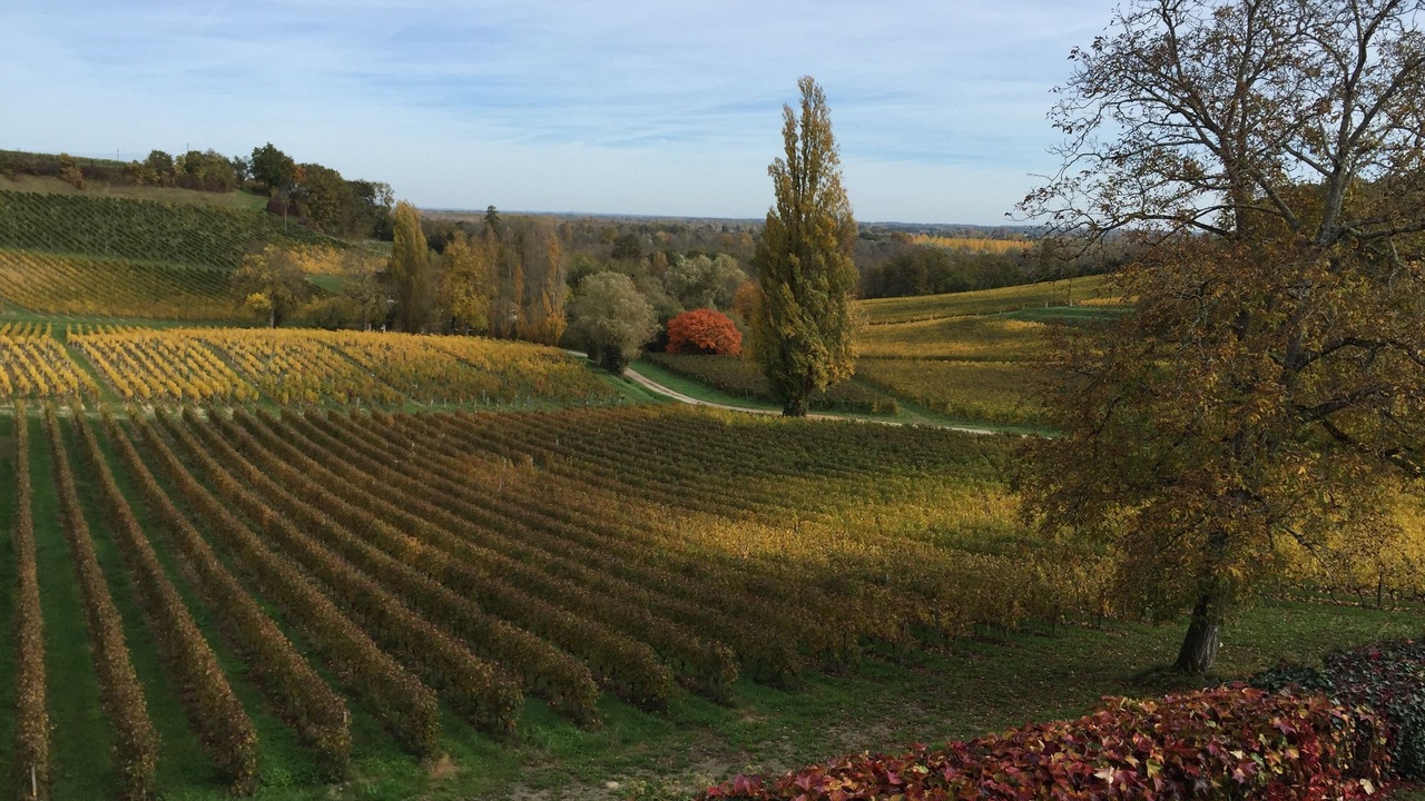 Photo of Outdoor in Fronsac