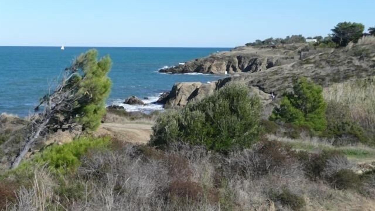 Photo of Others in Plage d'Argeles