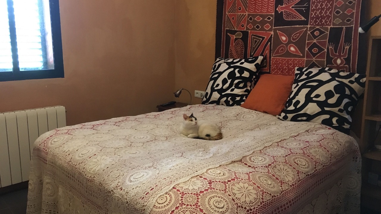 Photo of Bedroom in Hoyos