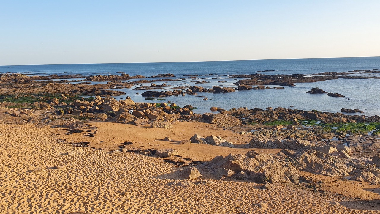 Photo of Others in Olonne-sur-Mer