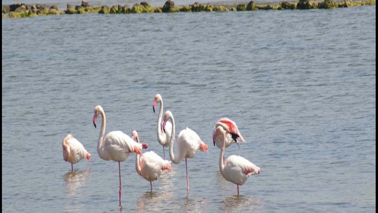 Photo of Outdoor in Peyriac-de-Mer