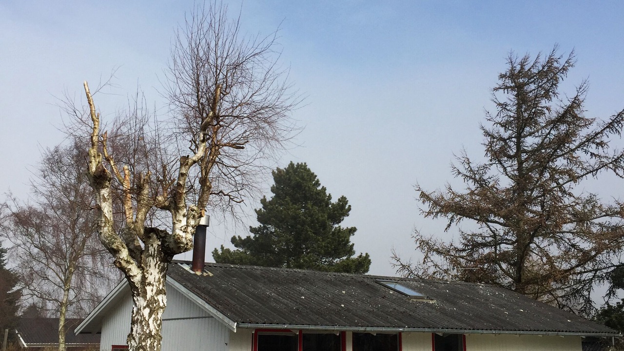 Photo of Outdoor in Havnsø