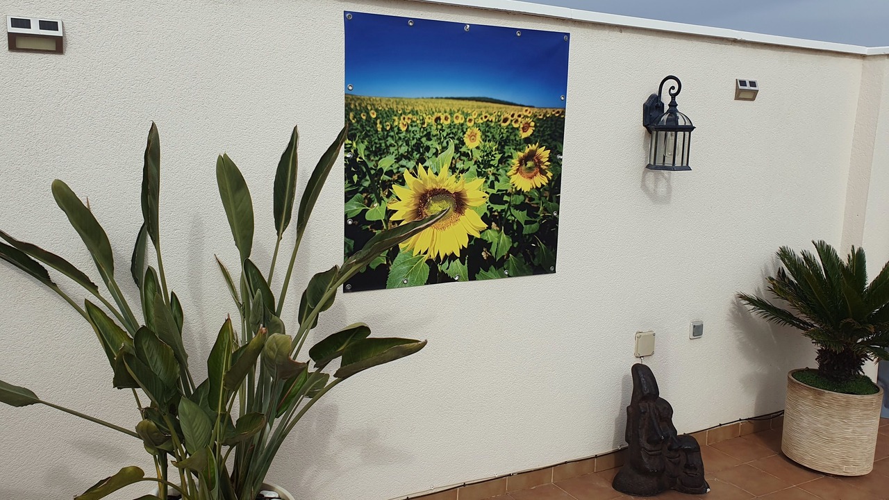 Photo of Outdoor in Los Montesinos