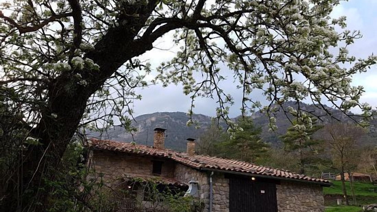 Photo of Outdoor in Gombren
