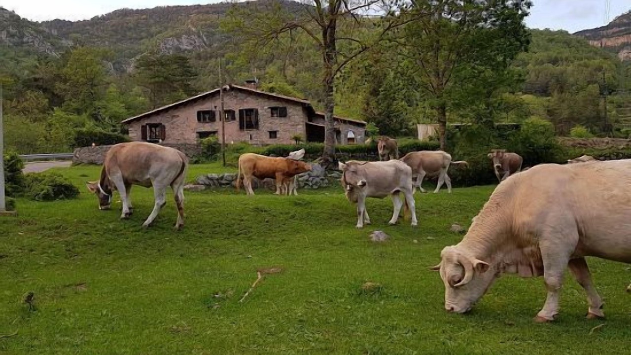 Photo of Outdoor in Gombren