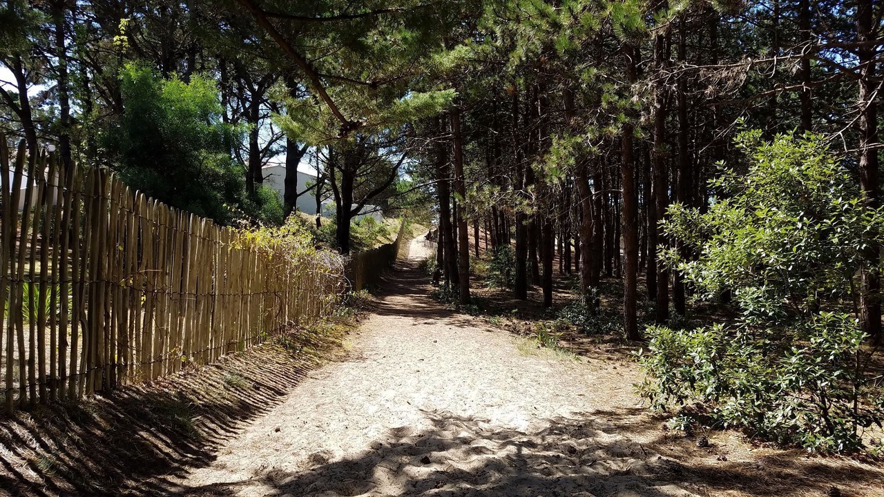 Photo of Outdoor in La Gueriniere